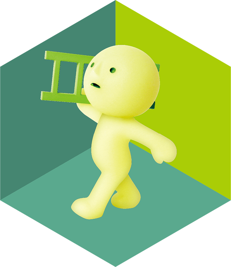 SMISKI Moving Series Carrying Ladder figure